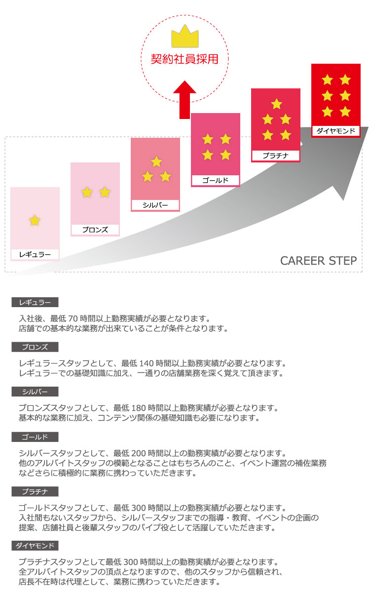 キャリアステップ説明チャート